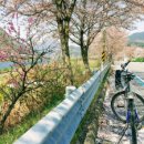 섬진강자전거길 이미지