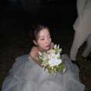 꽃주니
