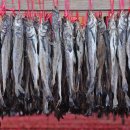 용대리황태촌 이미지