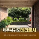 제주 서귀포 테라로사 제주 감성 그 자체였던 감귤밭 카페 후기