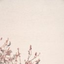 부산배화학교 이미지