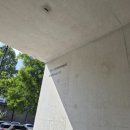 미(味)요일 이미지