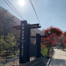 용하공원 2주차장 이미지