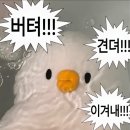 매머드익스프레스가산테라 이미지