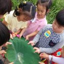 봉선어린이집 이미지