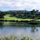 신안 퍼블릭 CC 이미지