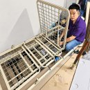 바른의료기 - 북구 사상로 599 | 복지용구 전동침대 대여 설치 후기 By 삼송동, 지축, 장기요양