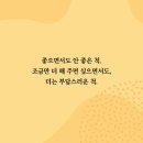보이나라 이미지