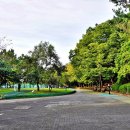 은빛77번길 이미지