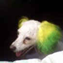 수일초등학교 이미지