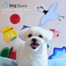 봉구애견미용샵 이미지