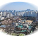 돼지방 이미지
