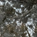 (주)뉴월드신제주점 | 등린이 한라산 성판악 후기 총정리/예약/준비물/복장/꿀팁/숙소