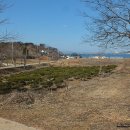 작은수해마을 이미지