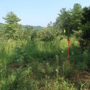 남면 동절사 이미지