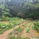 양지편경로당 이미지