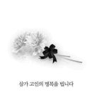 평택당진중앙부두(주) 이미지