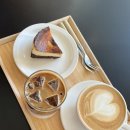 치즈사진카페 | [세종카페] 바스크치즈케이크 맛집 오하라운지 방문후기 | 핑크뮬리 사진 찍기 좋은 카페