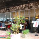 더 플라잉 이미지