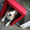 개편한 세상 이미지