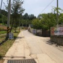 태백삼성초등학교 이미지