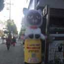 노라조 야옹아 이미지
