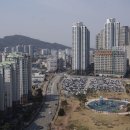 대농