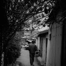 언양공설시장 이미지