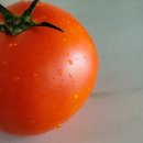 동암농장 이미지