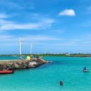 다모리네 이미지