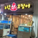 노랑산하오징어 이미지