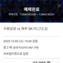 수원삼성블루윙즈경기