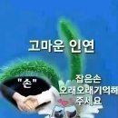 통영 비진도 여행ㅡ 선유봉 ㅡ 내항 마을 ㅡ 외항마을 트레킹 ㅡ 이미지