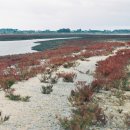 바람이 머무는 곳 이미지