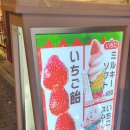 일본탕후루 가격 미쳣누 이미지