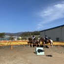 BK승마랜드 이미지