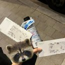 카더가든X오존 콘서트 이미지