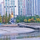 시흥 늠내길 6코스; 시흥 종주길 탐방 이미지