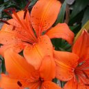 산천농장 이미지