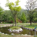 붕어섬테니스장 이미지