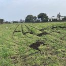 인복농장 이미지