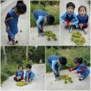 백담소나무계곡펜션 이미지