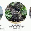 미인건강농장