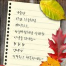 소은 이미지