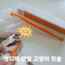 클릭덴탈 | 고양이 칫솔 추천, 고양이 치주염 치료 돕는 캣디피 덴탈 고양이 칫솔