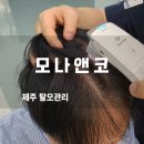 제주탈모관리 직접 다녀온솔직 후기! 모나앤코 외도점에서두피 힐링하고 왔어요
