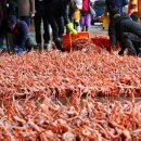 울진대게 이미지