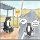 신한카센타 | 만원 더 준다는 와이어바알리 초대코드 써봤더니 (WIREBARLEY)