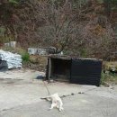 멍돌이와 멍순이 이미지