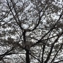 행정사김영철사무소 | 한국잡월드 ‘메카이브’ 무료 초청행사 참가자 모집